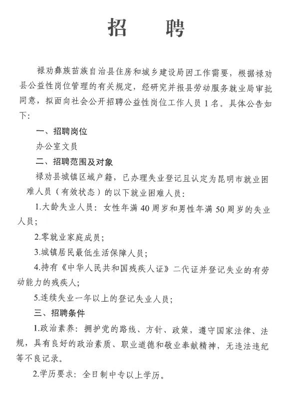 胡源乡最新招聘信息详解及解读