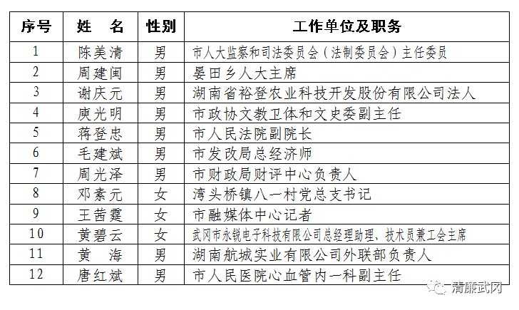 武冈市文化局人事任命动态解析