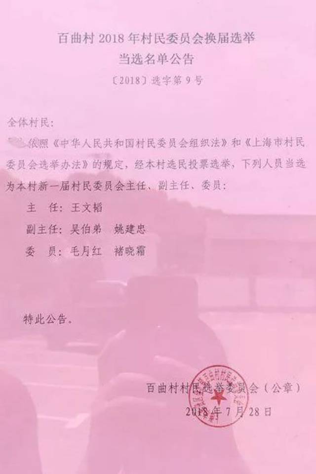 柳树村委会人事大调整，重塑领导团队，村级发展新篇章