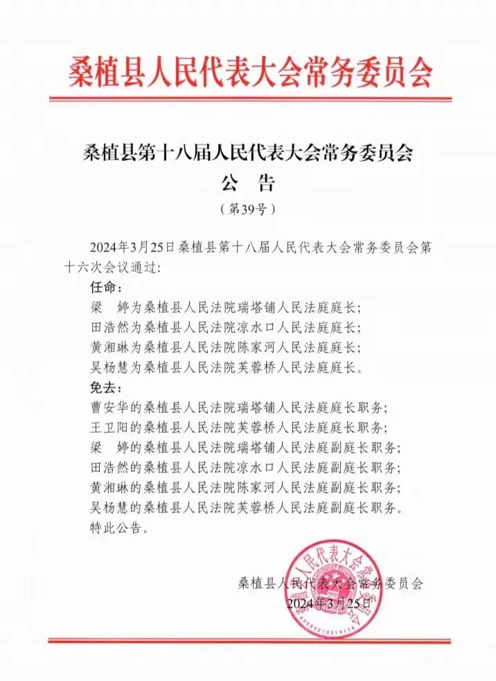 桃源县人民政府办公室人事任命动态更新