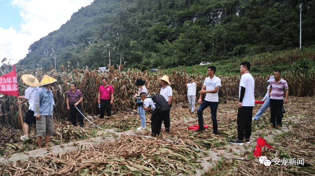 贡觉县农业农村局新项目推动农业现代化，乡村振兴再添动力