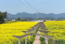 寿王坟镇天气预报更新通知