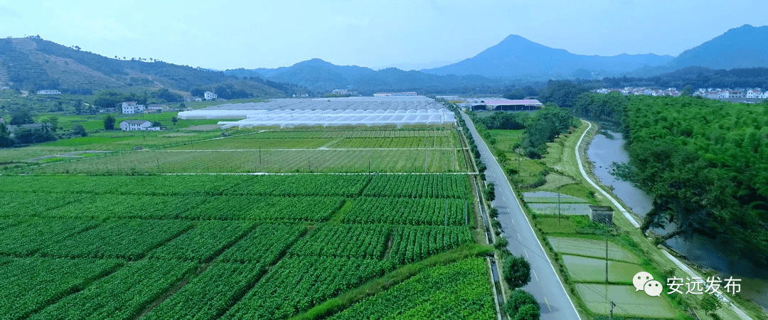 安远镇最新发展规划概览