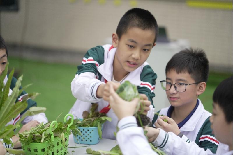 天台县小学未来发展规划概览