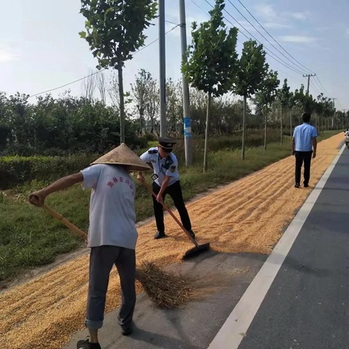 杞县公路运输管理事业单位最新动态报道